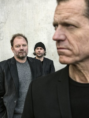 Daniel Karlsson Trio (F: Johan Bergmark)